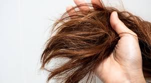 10 Home Remedies for Dry Hair That Really Work
